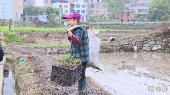 插秧七十二招式图片：掌握高效插秧技巧，提升水稻种植产量与质量的实用指南