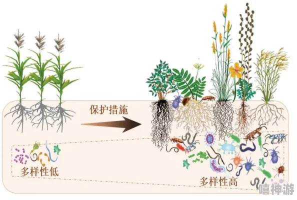 日本野花：多样性与生态价值的研究进展及其在保护生物多样性中的重要作用