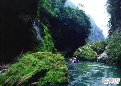 震惊！两岸夹小溪地湿又无泥，环境变化引发生态危机，专家警示未来生存严峻挑战！